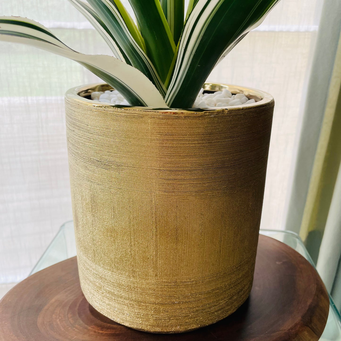 Bromelia en maceta L