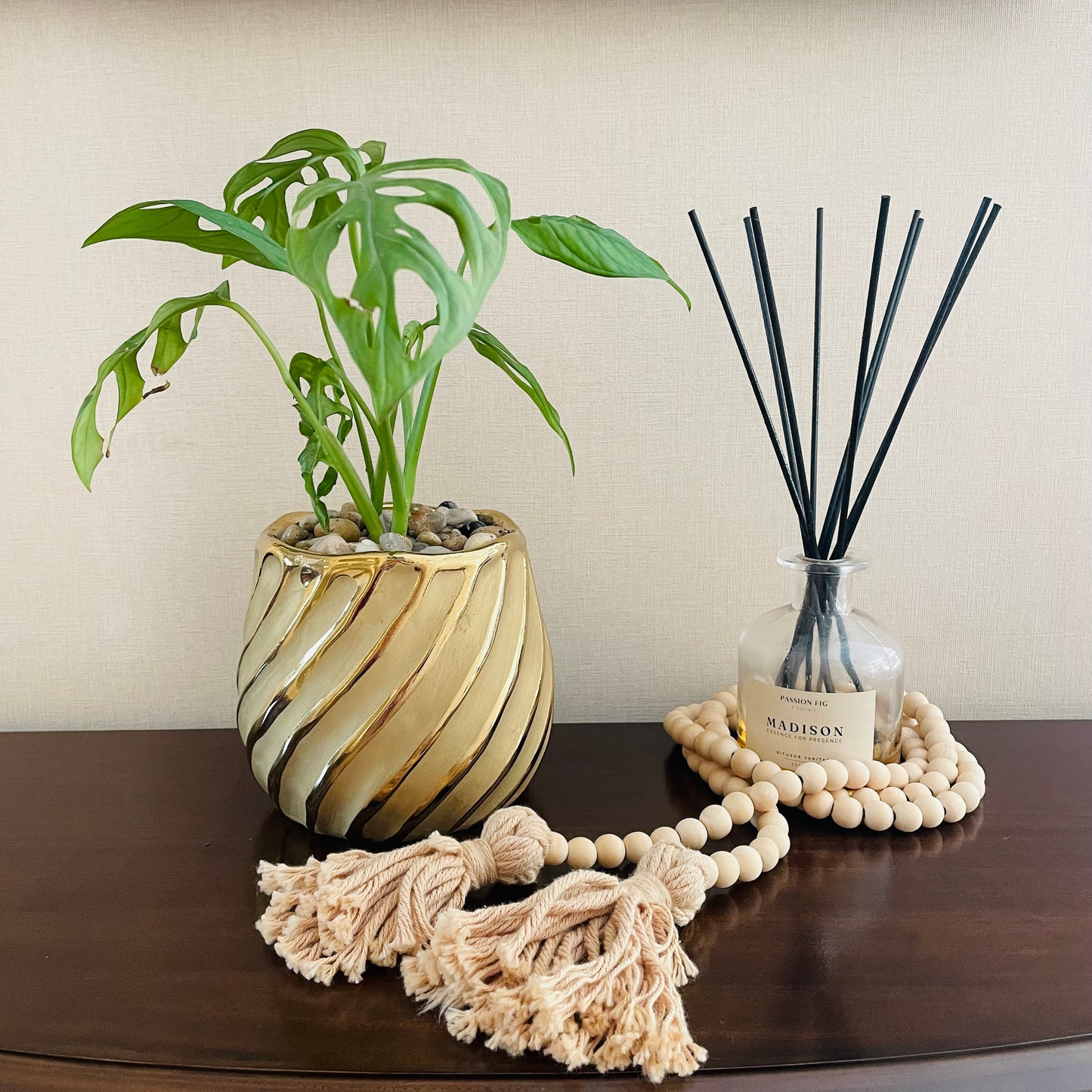 Monstera Adansonii en maceta S