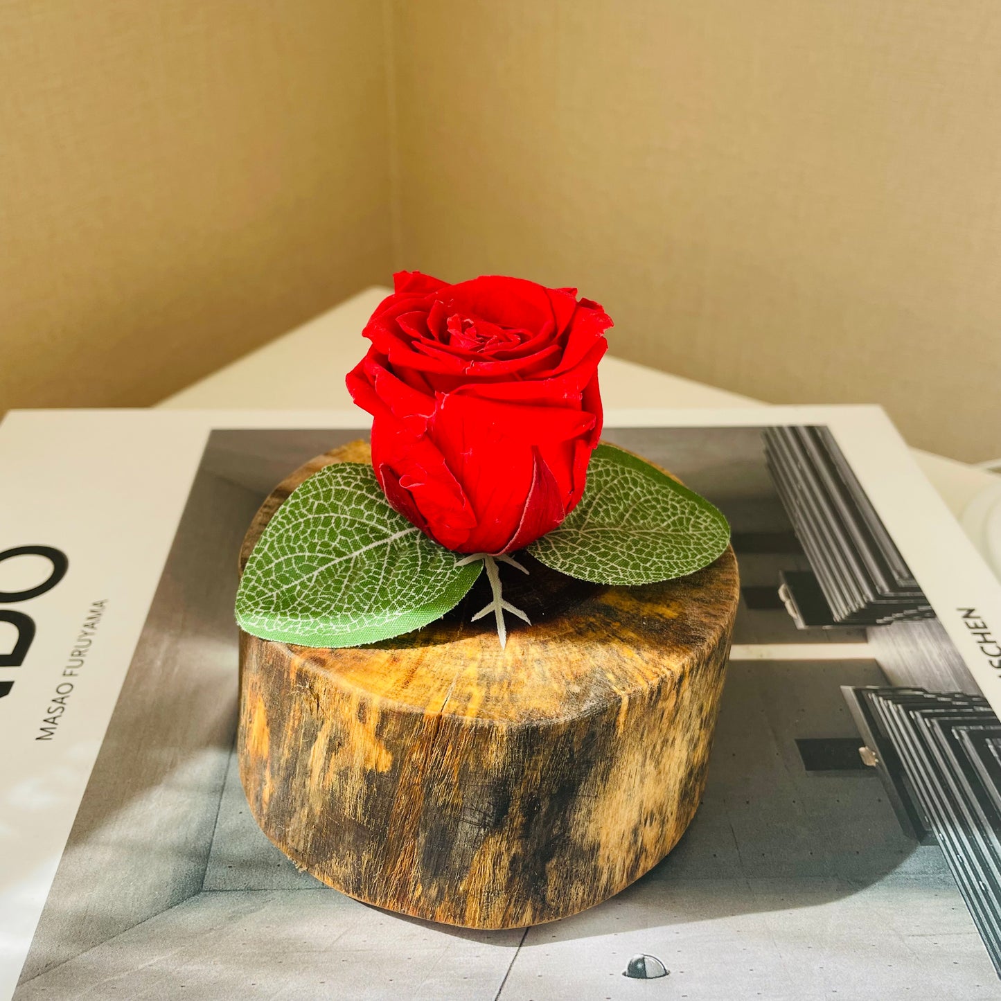 Rosa eterna en tronco