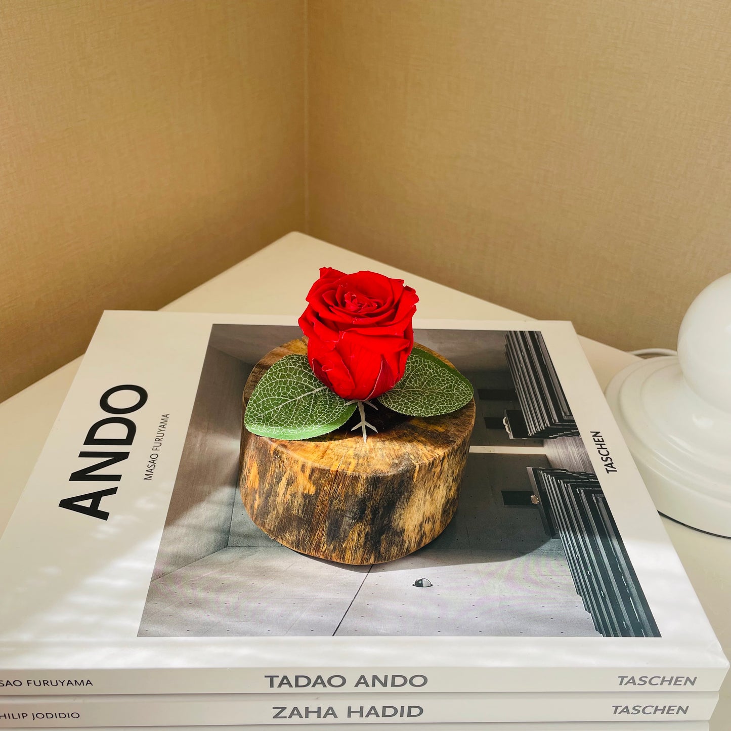 Rosa eterna en tronco