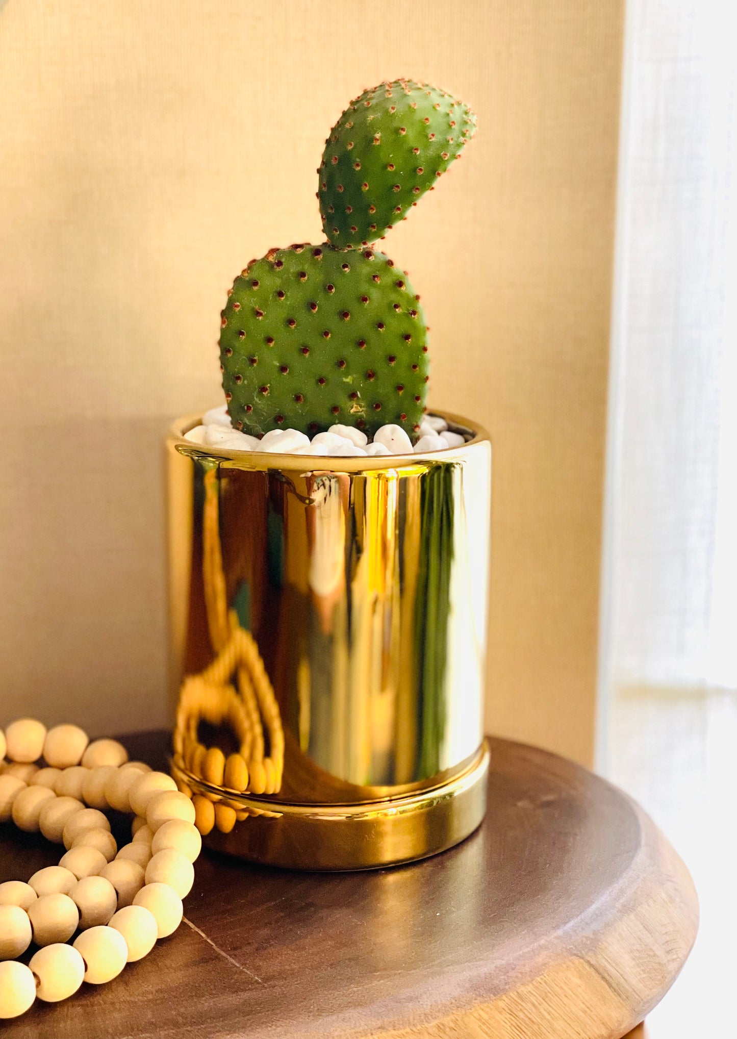 Suculentas y cactus en maceta dorada S
