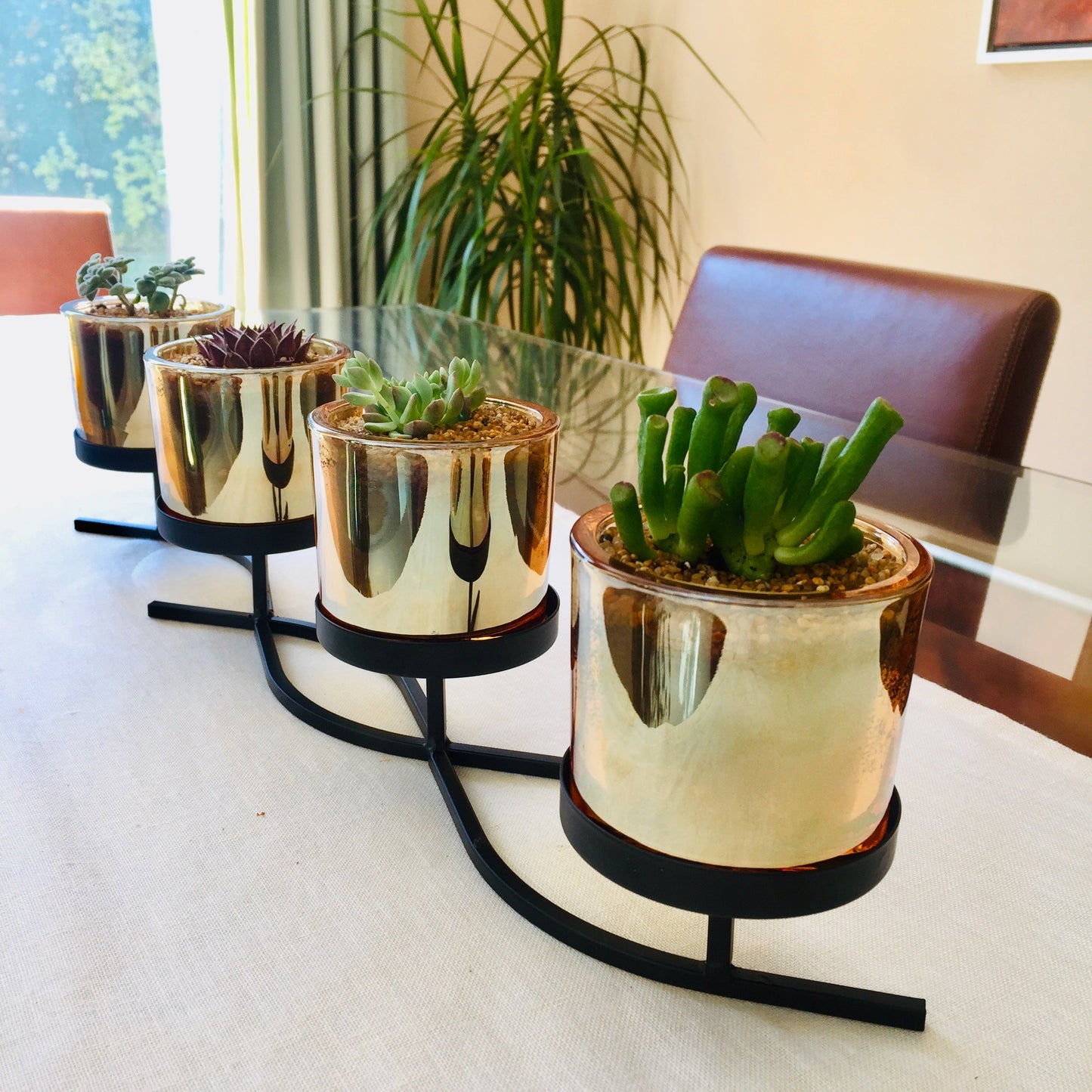 Centro de mesa con mix de suculentas diseño ondas