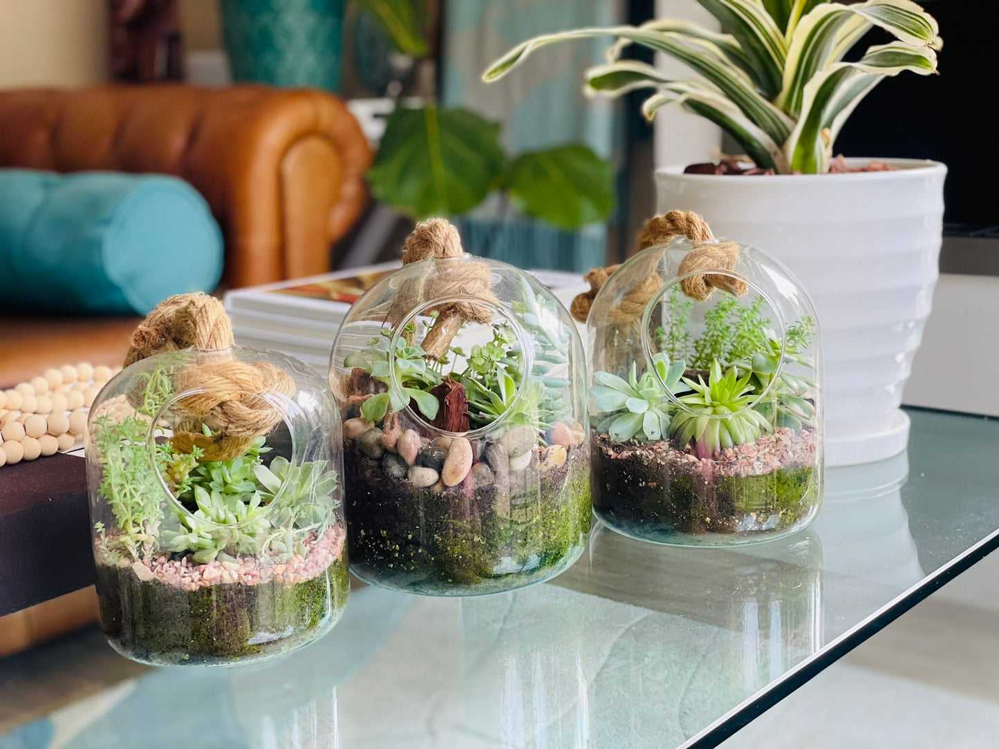 Terrario con suculentas y cuerda de yute