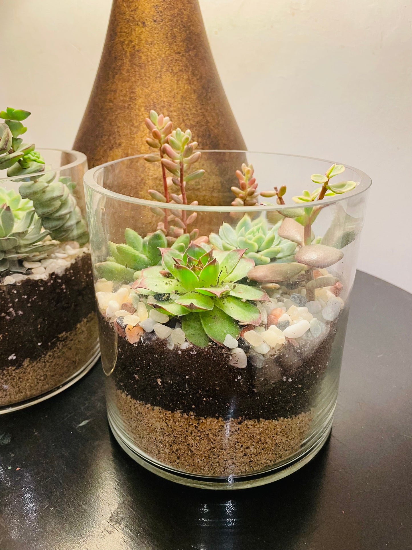 Terrario con suculentas en vidrio