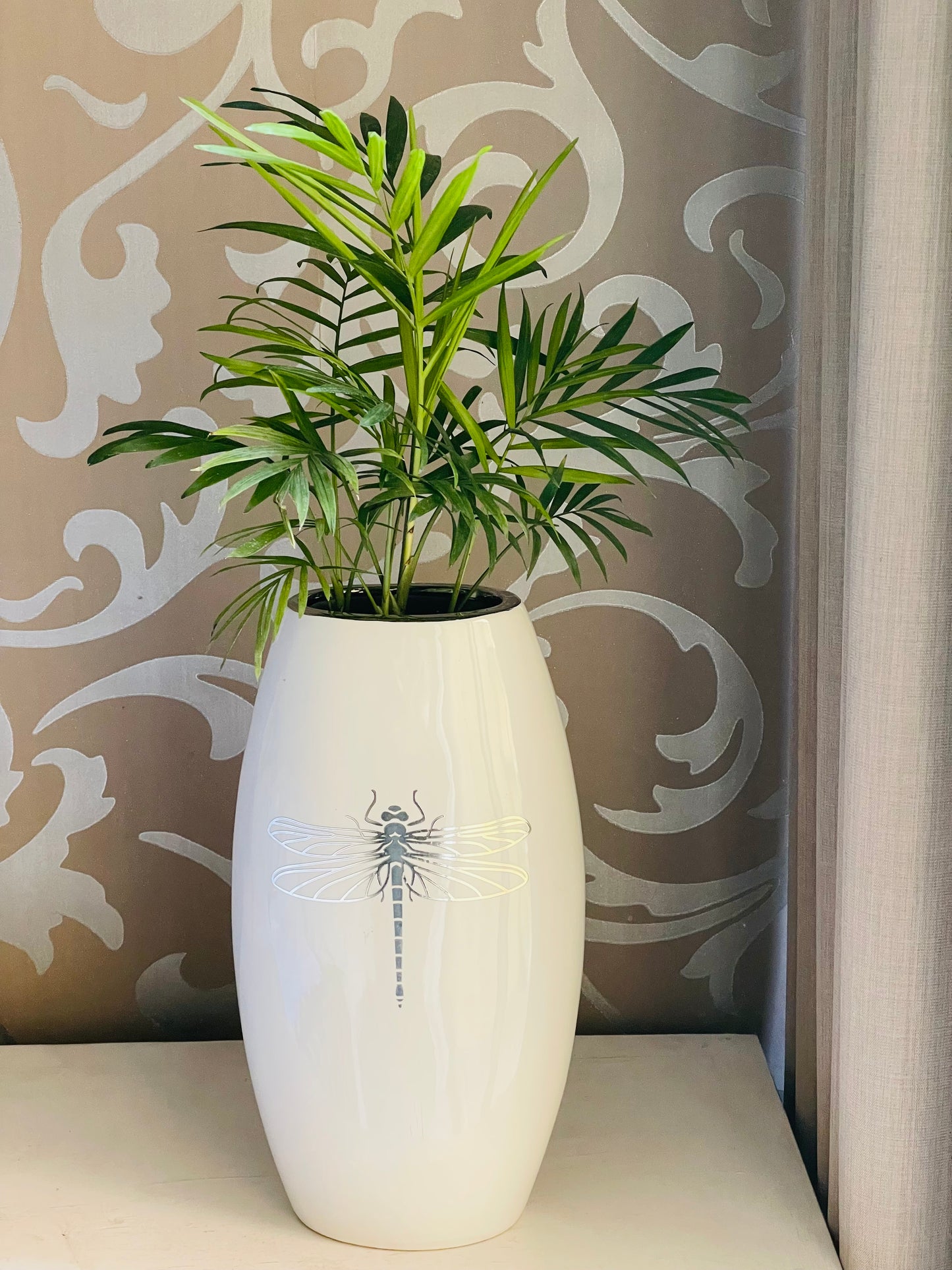 Chamaedorea elegans en maceta libélula