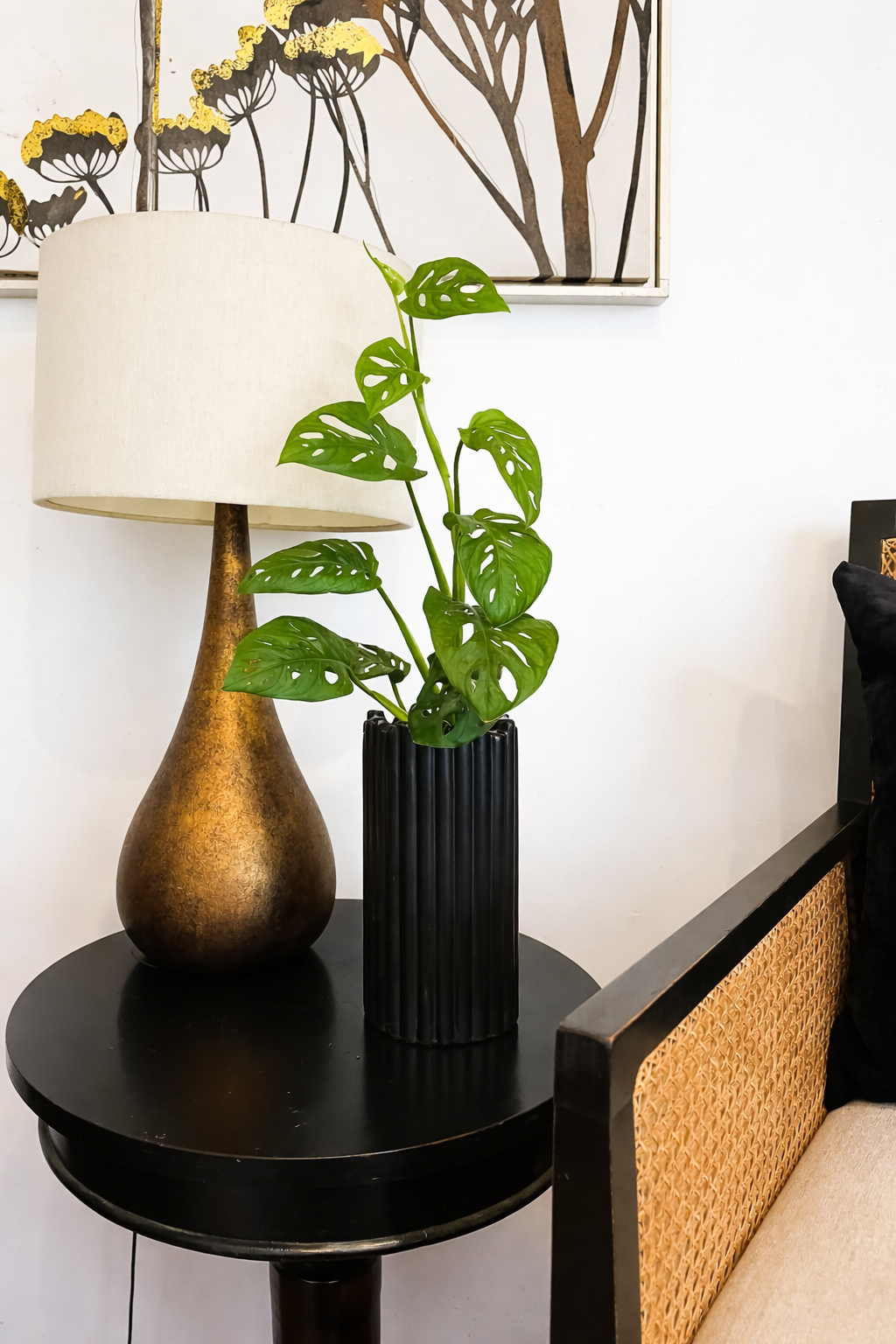 Monstera adansonii en maceta vertical