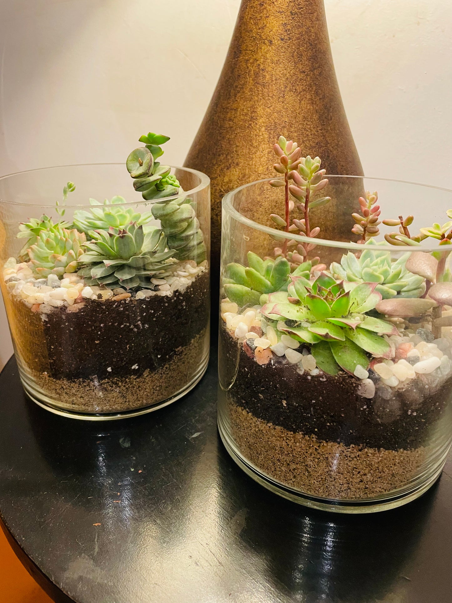 Terrario con suculentas en vidrio