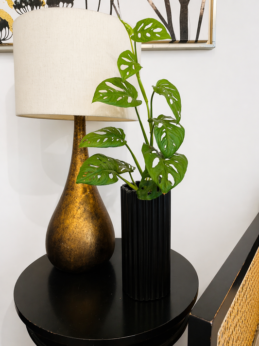 Monstera adansonii en maceta vertical