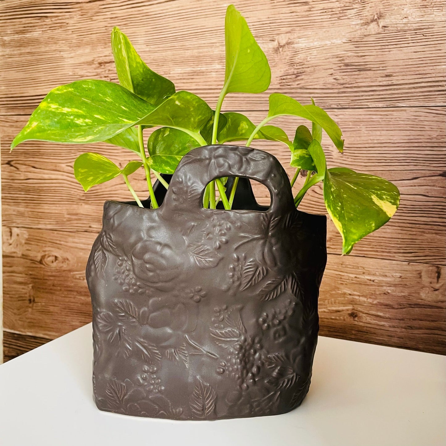Pothus Golden en maceta tipo bolso