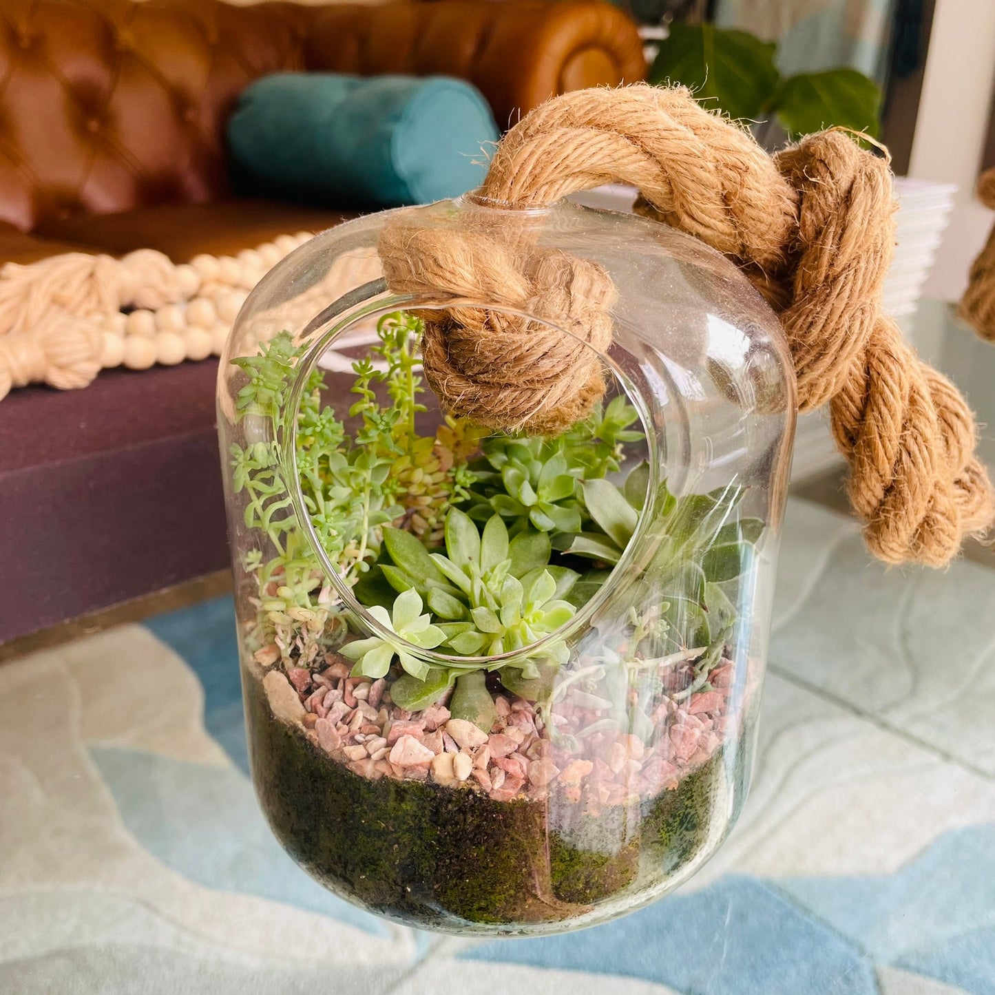 Terrario con suculentas en cúpula de vidrio