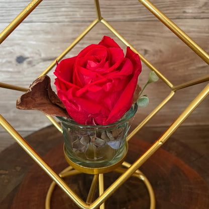 Rosa eterna con soporte dorado
